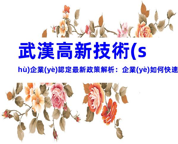 武漢高新技術(shù)企業(yè)認定最新政策解析：企業(yè)如何快速達標？